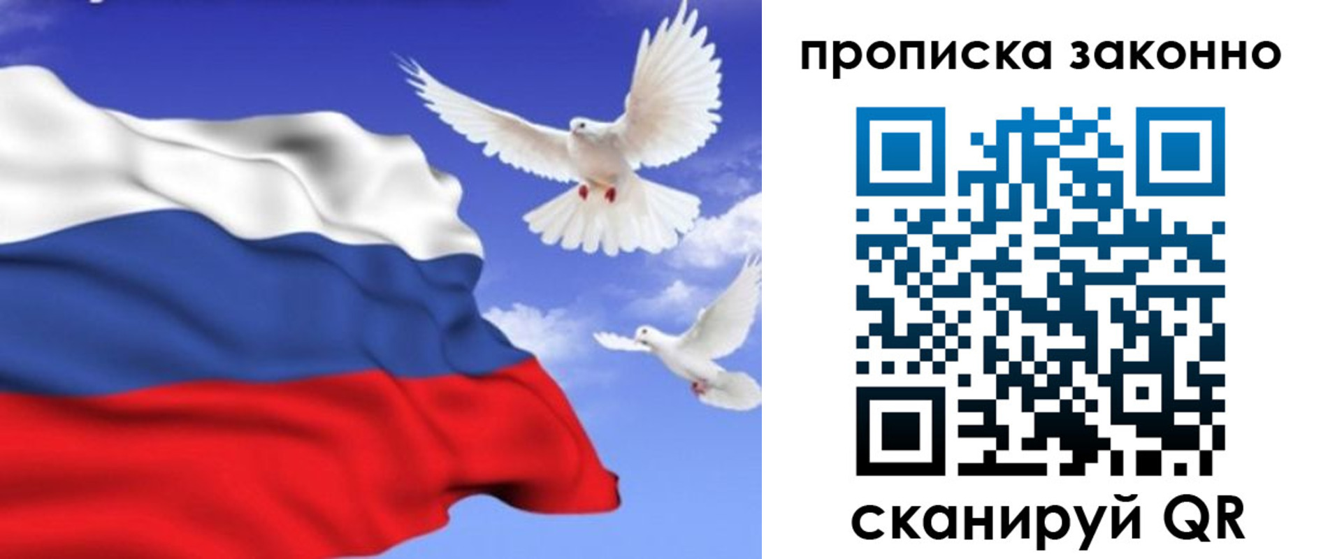 прописка в Жуковке