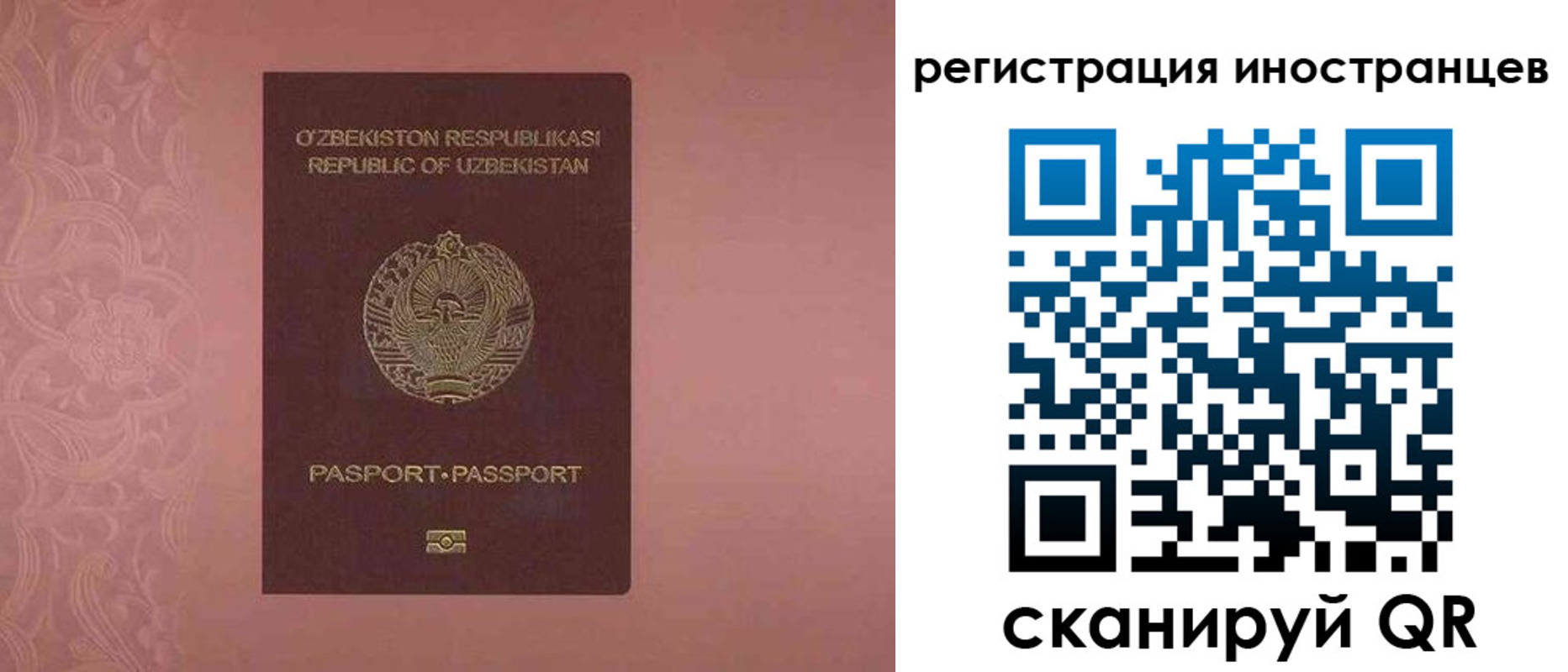 временная регистрация госуслуги в Жуковке